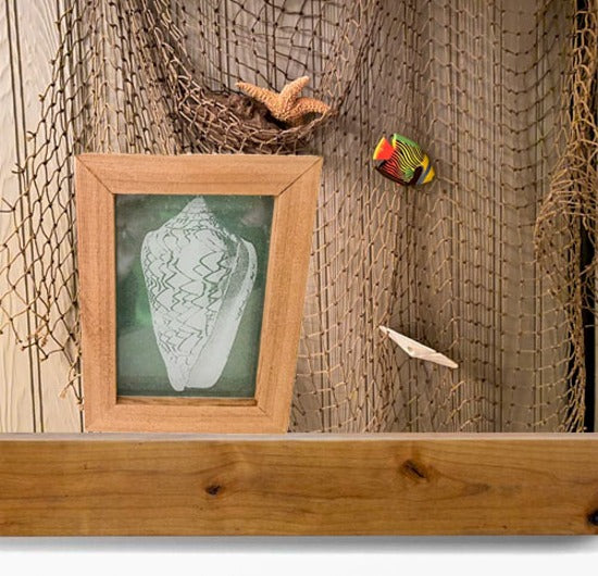 Laser engraved etching of a sea shell -  nautical gift for mom or wife for home decor - great decoration for the lake home or cottage - 1/2 inch thick acrylic,  5 inch x 6  3/4 inch - green acrylic background, framed in wood, free standing - Borgmanns Creations - 4