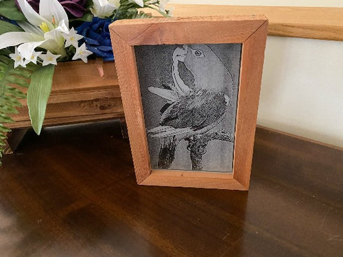 Laser engraved etching  with acrylic backing of a parrot - gift for mom or dad - birthday ideas, mothers day gift, fathers day gift, special occasion etc -  gift for a bird lover - stand alone shadow box design - 8 inch x 5 1/2 inch - acrylic - framed in wood -  free standing- hang by frame - Borgmanns Creations - 1