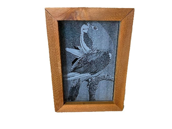 Laser engraved etching  with acrylic backing of a parrot - gift for mom or dad - birthday ideas, mothers day gift, fathers day gift, special occasion etc -  gift for a bird lover - stand alone shadow box design - 8 inch x 5 1/2 inch - acrylic - framed in wood -  free standing- hang by frame - Borgmanns Creations - 3