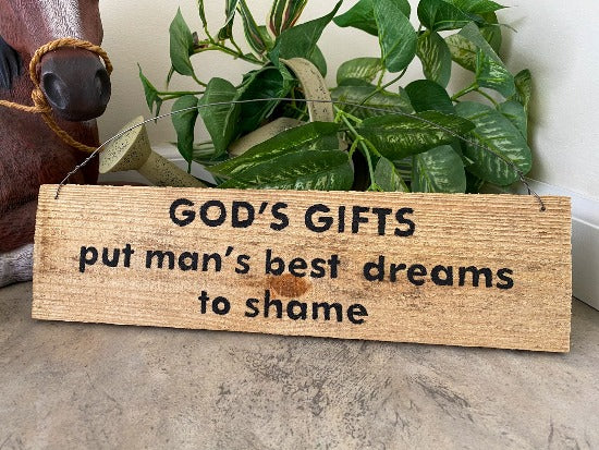 Wood fence panel painted sign - God's Gifts put man's best dreams to shame, a great gift for the country home - Borgmanns Creations